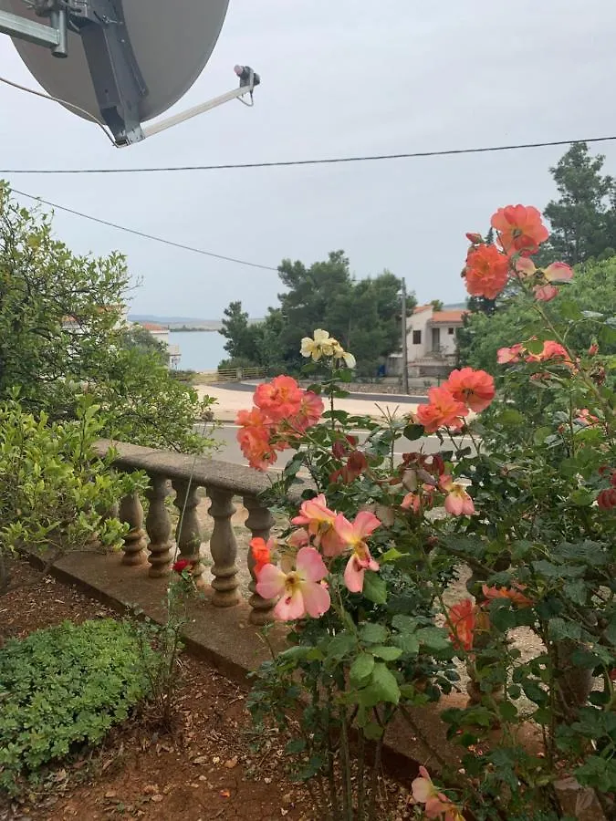 Apartment Apartmani Spomenka Seline Croatia