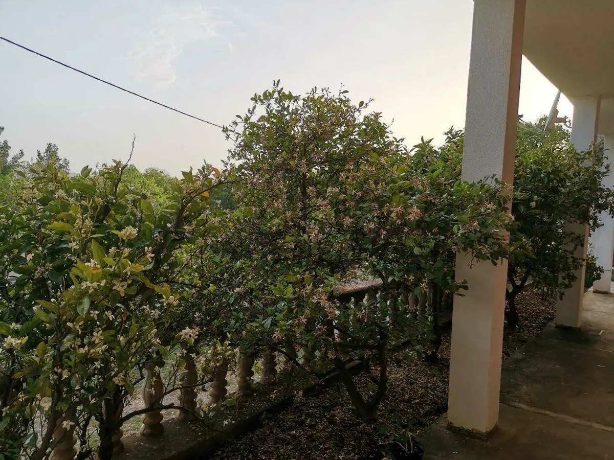 Apartmani Spomenka سيلين كرواتيا