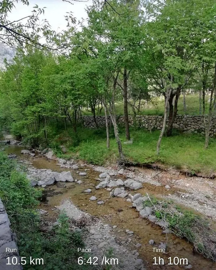 公寓 Apartmani Spomenka 塞利讷