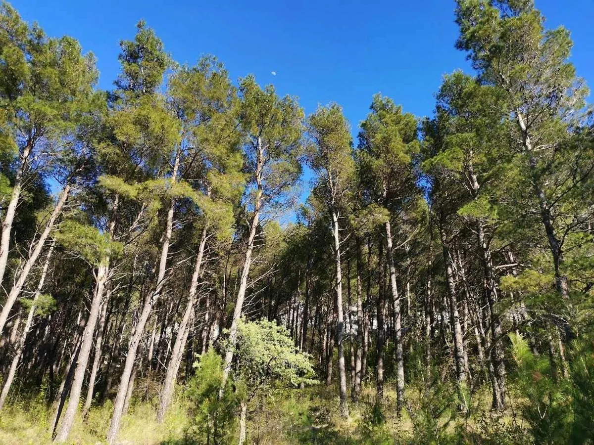 Apartmani Spomenka Seline