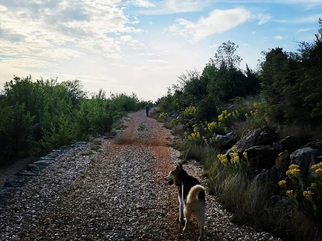 Apartmani Spomenka Seline 0*,