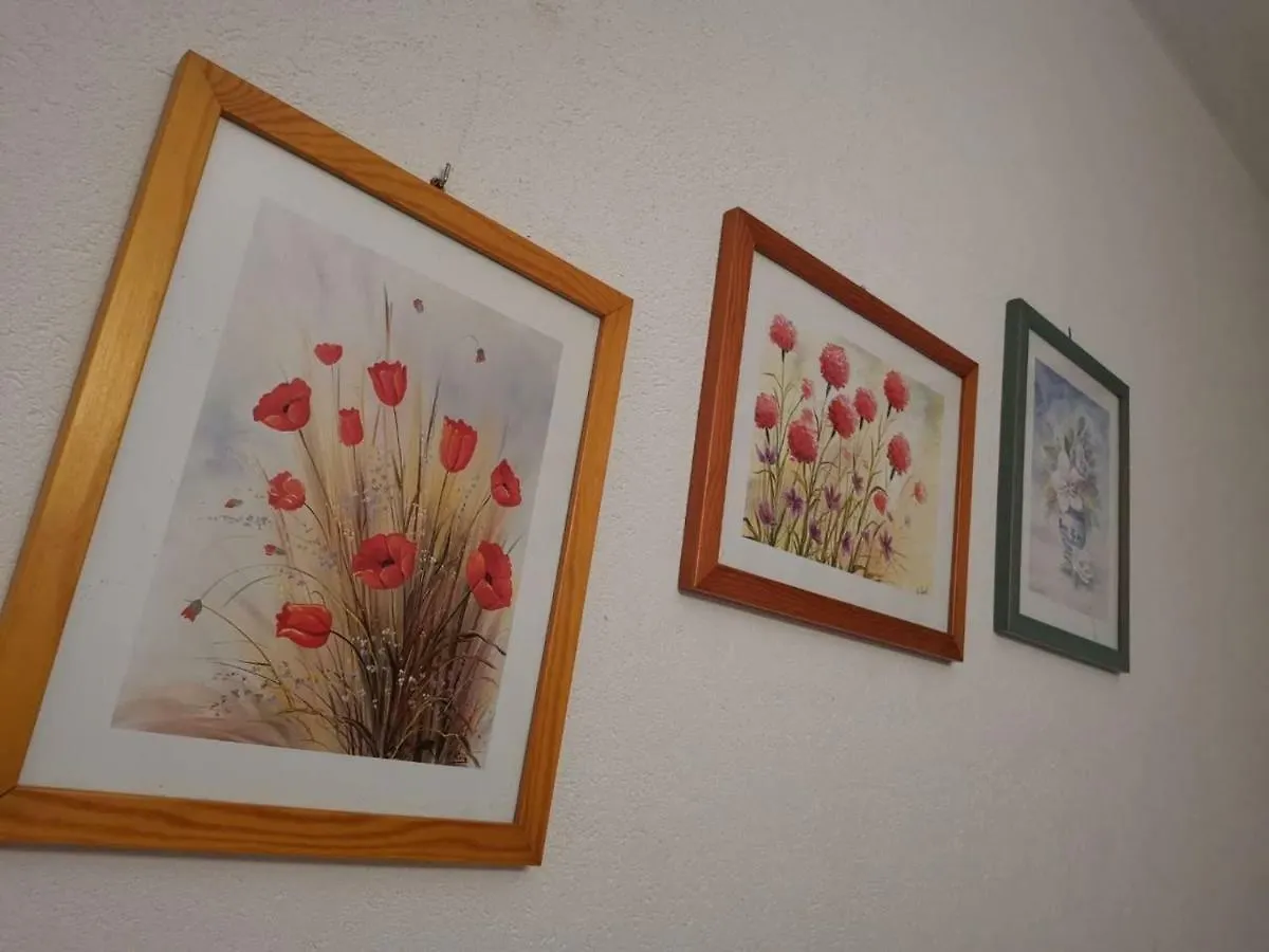 Apartmani Spomenka Seline Apartment